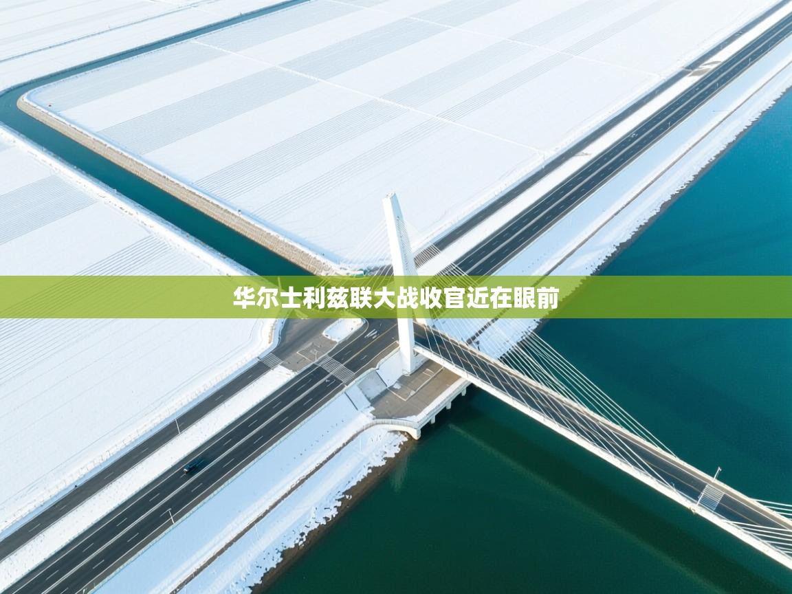 华尔士利兹联大战收官近在眼前  第2张