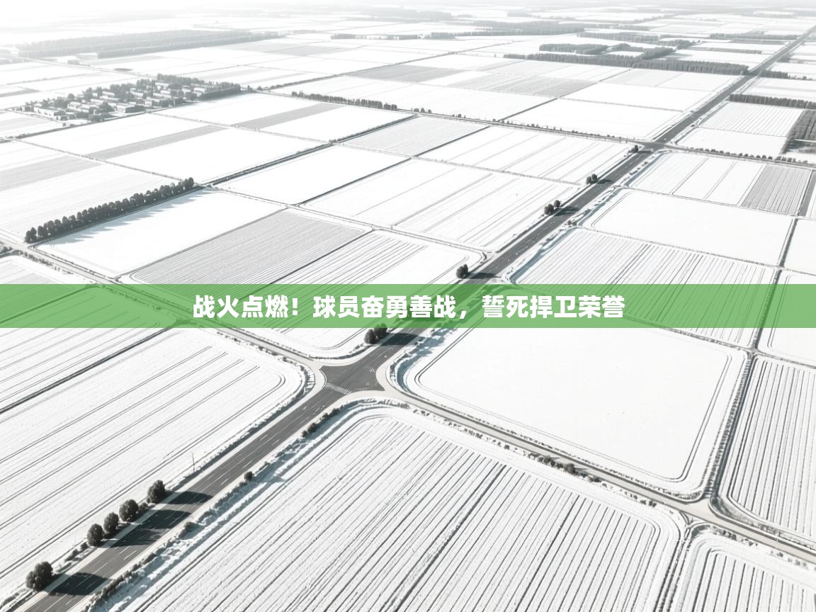 战火点燃！球员奋勇善战，誓死捍卫荣誉  第1张