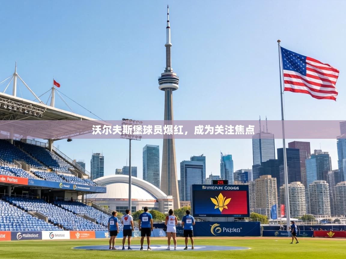 沃尔夫斯堡球员爆红,成为关注焦点 第1张